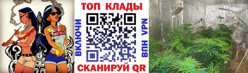 Купить APVP  Амфетамин  ГАШ  Мефедрон  Бошки Шишки  Кокаин  Приволжск