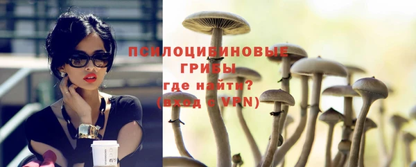 дмт Приозерск