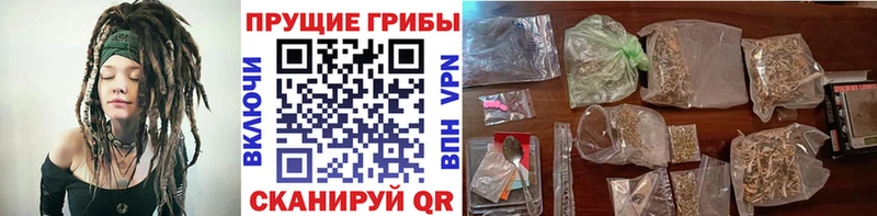 Купить где  Приволжск  Галлюциногенные грибы MAGIC MUSHROOMS 